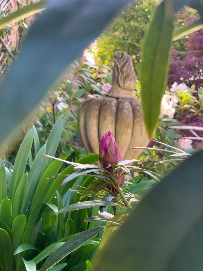 Cote Jardin Bed & Breakfast Sainte-Suzanne  Luaran gambar