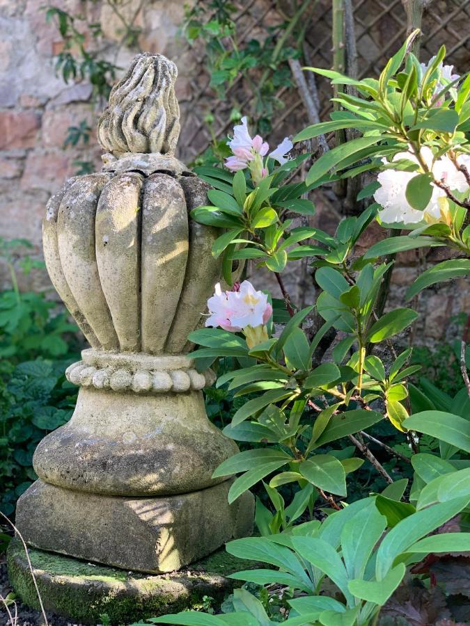 Cote Jardin Bed & Breakfast Sainte-Suzanne  Luaran gambar