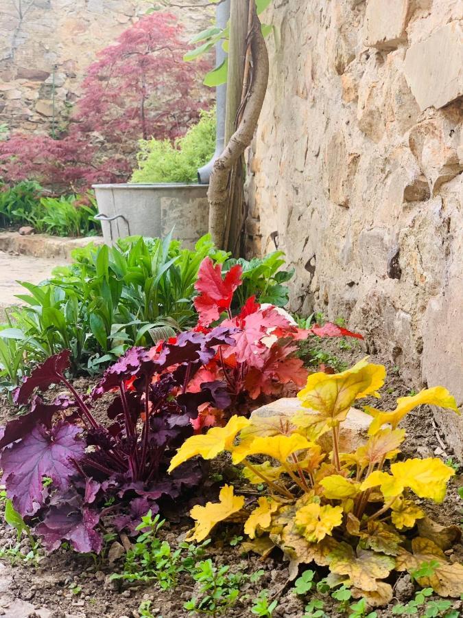 Cote Jardin Bed & Breakfast Sainte-Suzanne  Luaran gambar