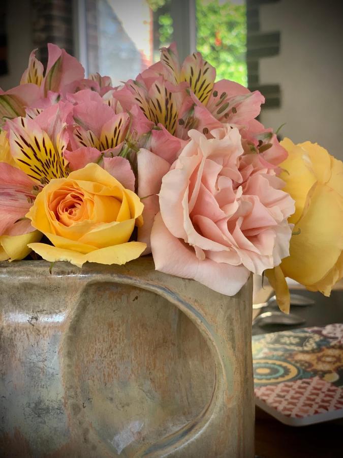 Cote Jardin Bed & Breakfast Sainte-Suzanne  Luaran gambar