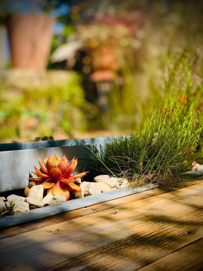Cote Jardin Bed & Breakfast Sainte-Suzanne  Luaran gambar